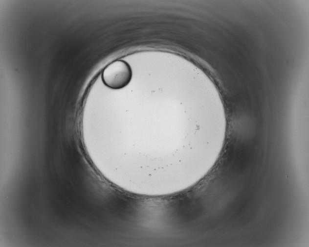 X0000085261514200703090844