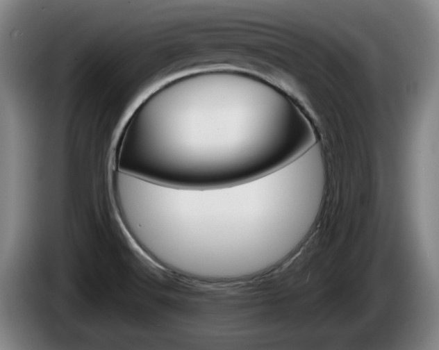 X0000085261516200703090844