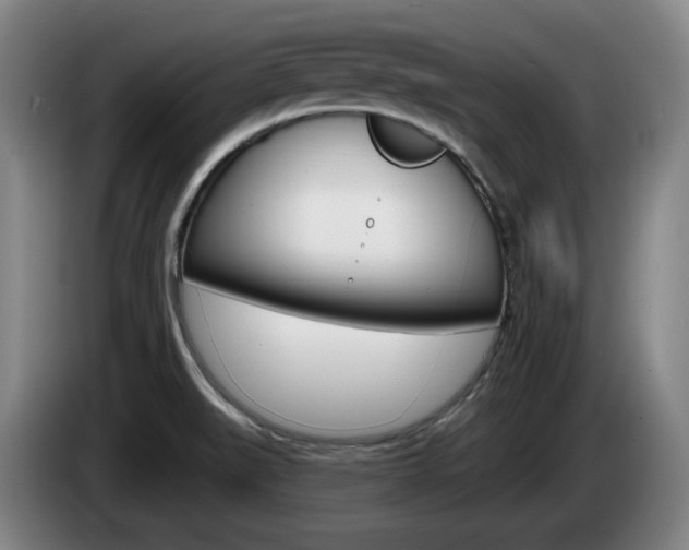 X0000085261519200703090844