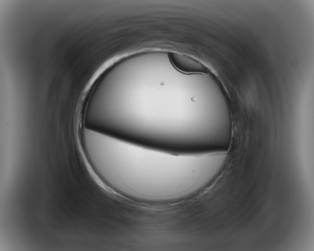 X0000085261523200703090844