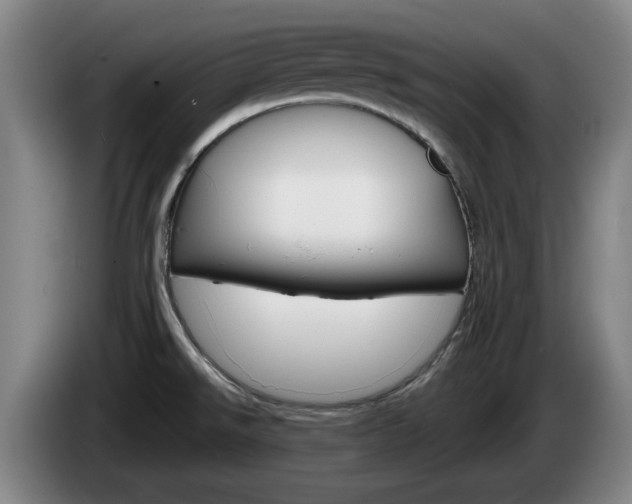 X0000085261526200703090844