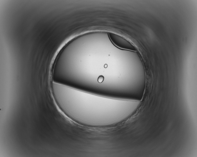 X0000085261527200703090844