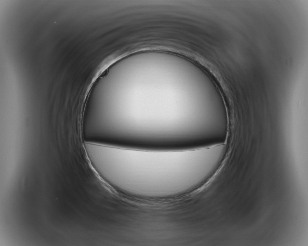 X0000085261529200703090844