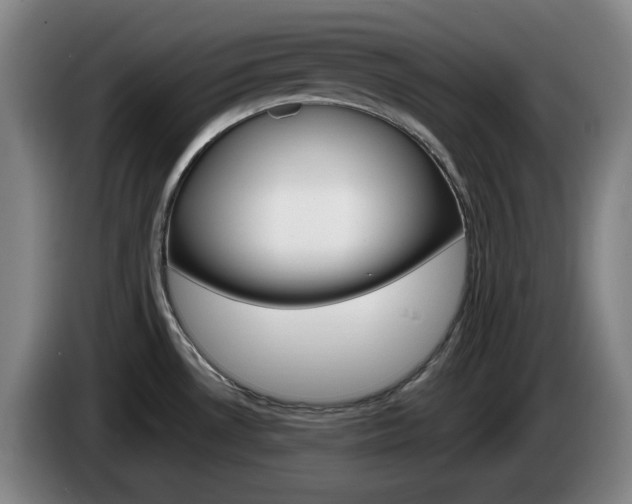 X0000085261530200703090844