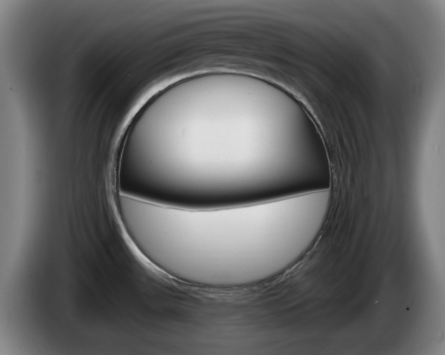 X0000085261531200703090844