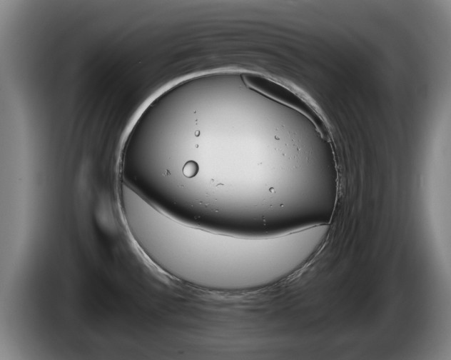 X0000085261532200703090844