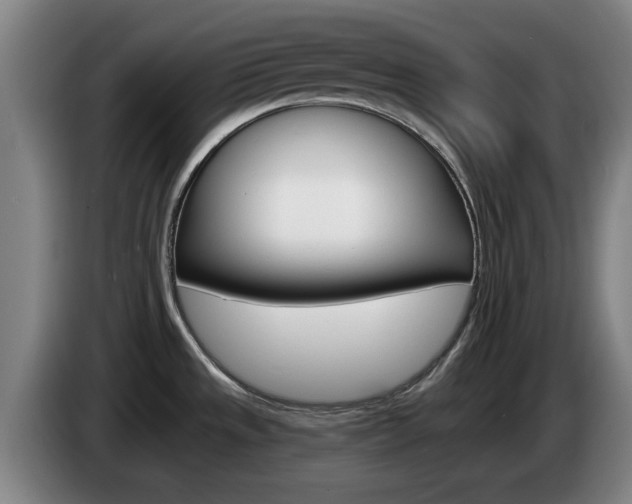 X0000085261533200703090844
