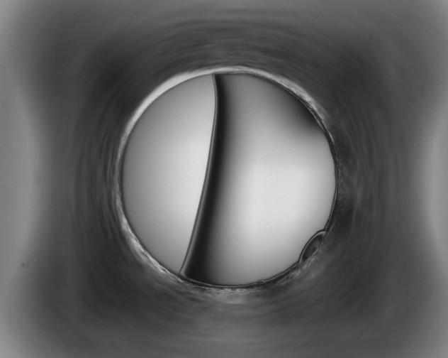 X0000085261534200703090844