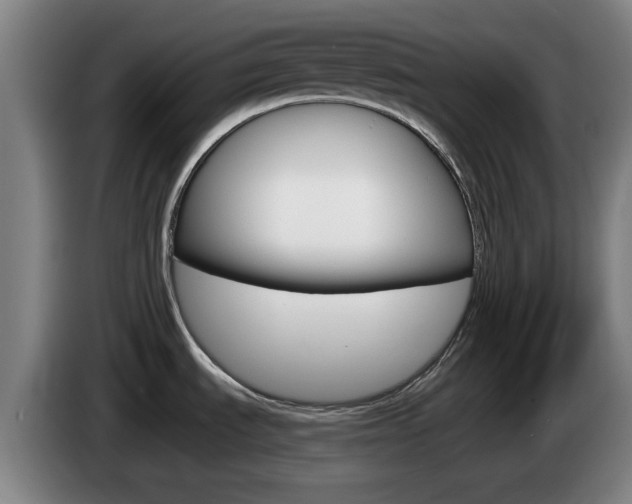 X0000085261535200703090844