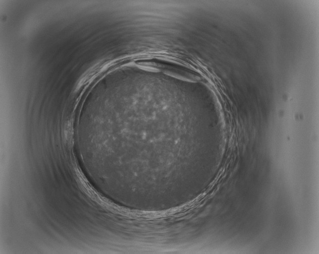 X0000085260002200703091335