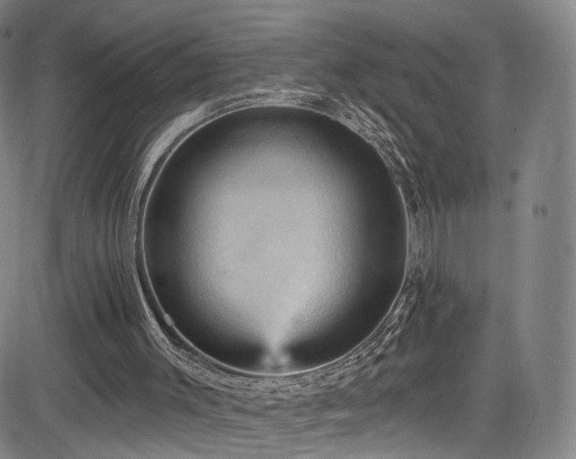 X0000085260003200703091335