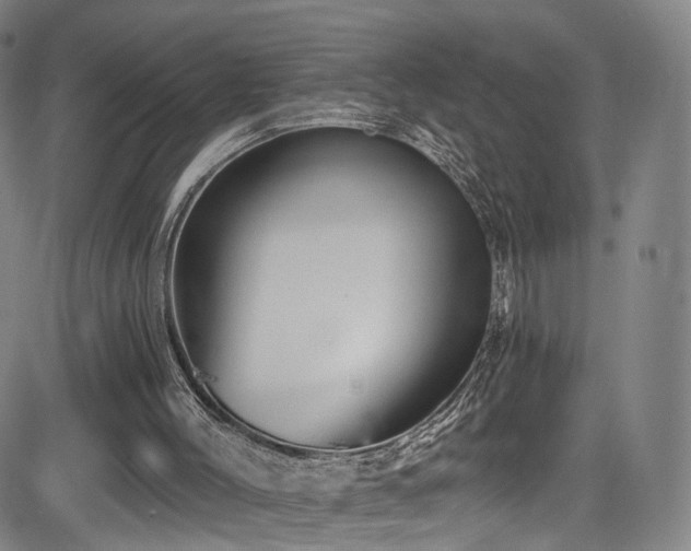 X0000085260004200703091335