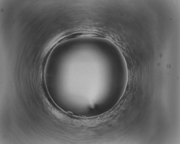 X0000085260005200703091335