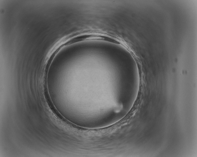 X0000085260007200703091335