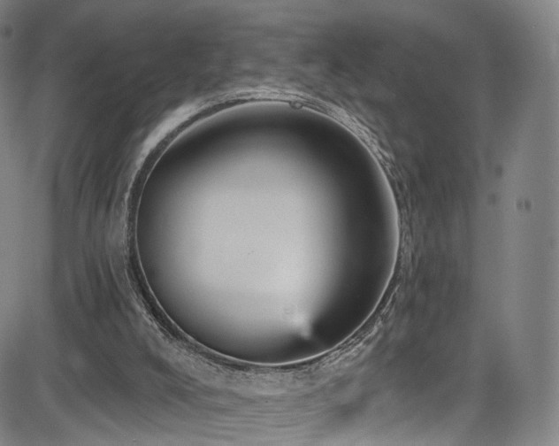 X0000085260008200703091335