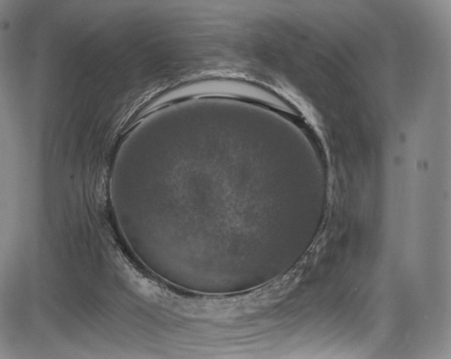 X0000085260009200703091335