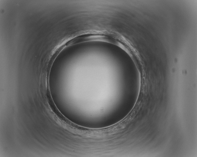 X0000085260011200703091335