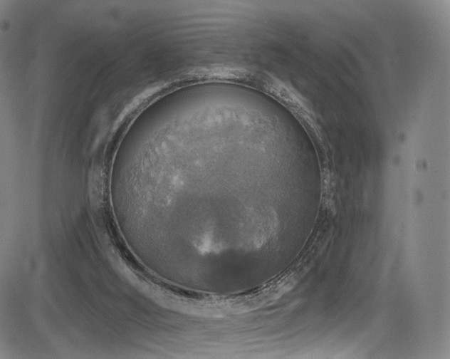 X0000085260012200703091335