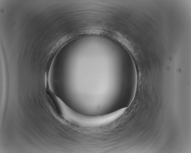 X0000085260013200703091335