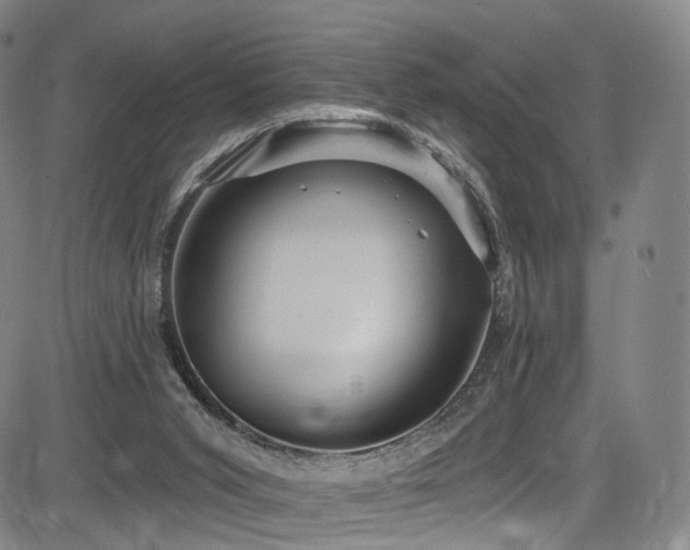 X0000085260015200703091335