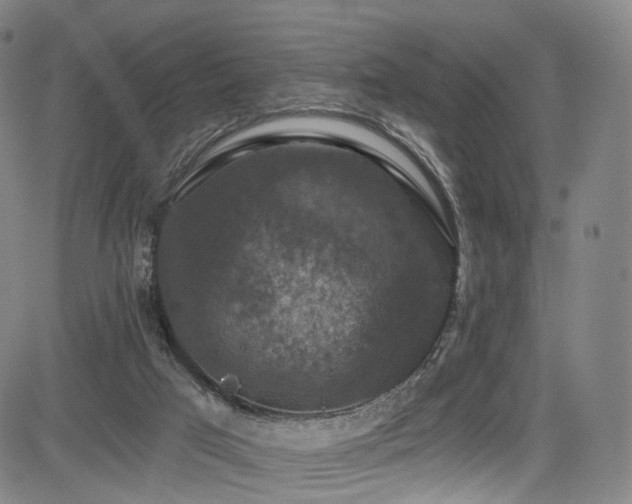 X0000085260017200703091335