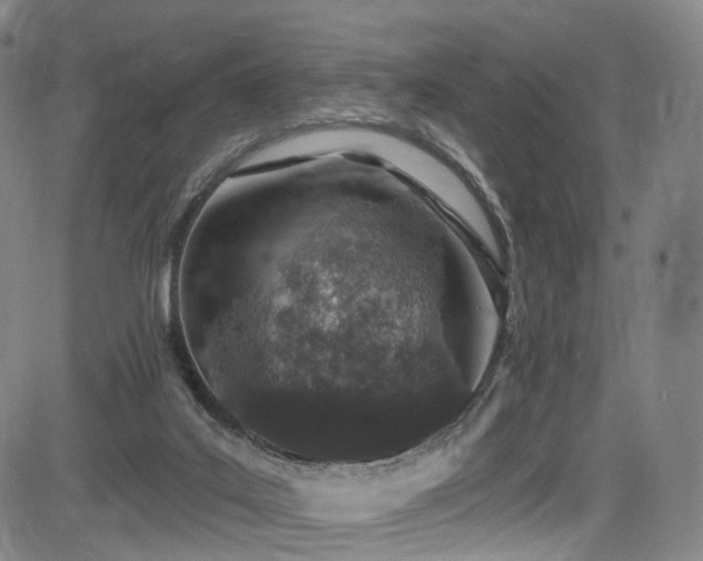 X0000085260019200703091335