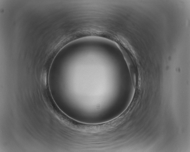 X0000085260021200703091335