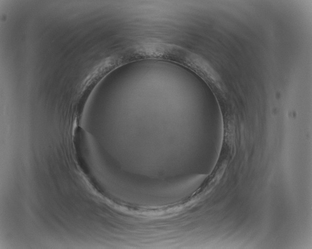 X0000085260023200703091335