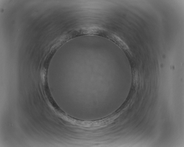 X0000085260026200703091335