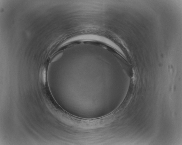 X0000085260027200703091335