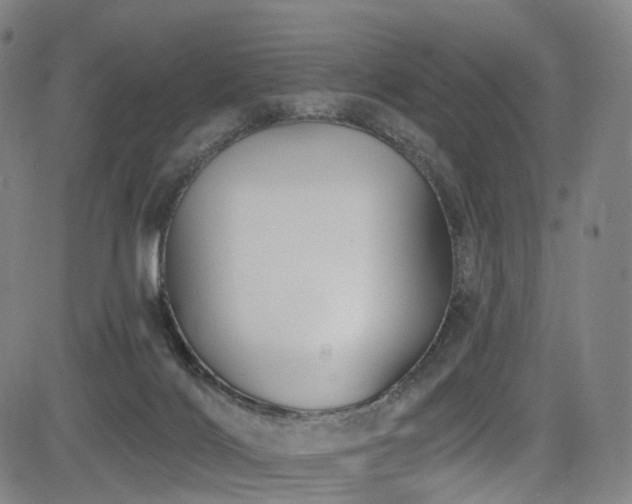 X0000085260028200703091335