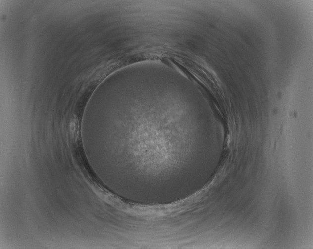 X0000085260029200703091335