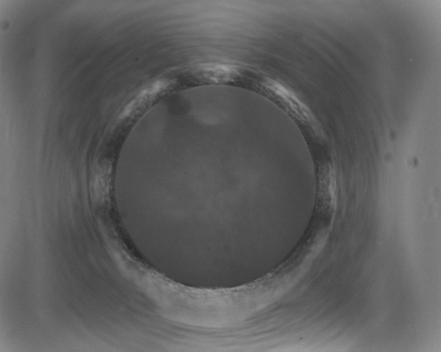 X0000085260030200703091335