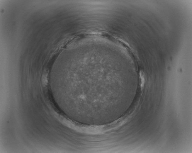 X0000085260032200703091335