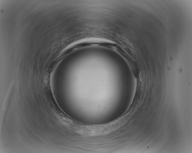 X0000085260033200703091335