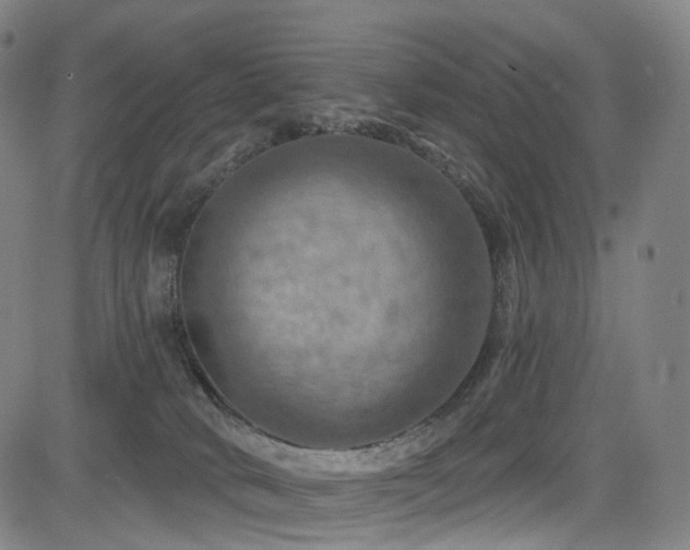 X0000085260034200703091335