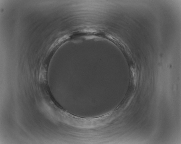 X0000085260035200703091335