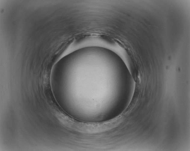 X0000085260037200703091335