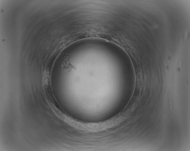 X0000085260038200703091335