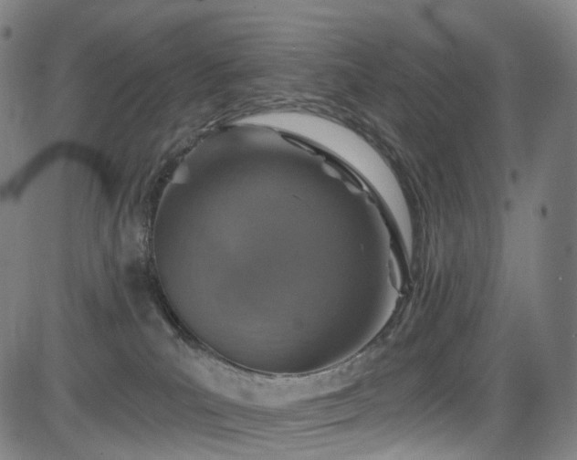 X0000085260039200703091335