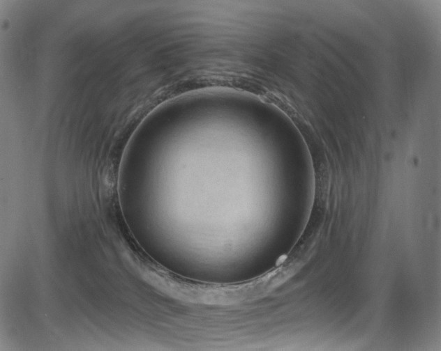 X0000085260040200703091335