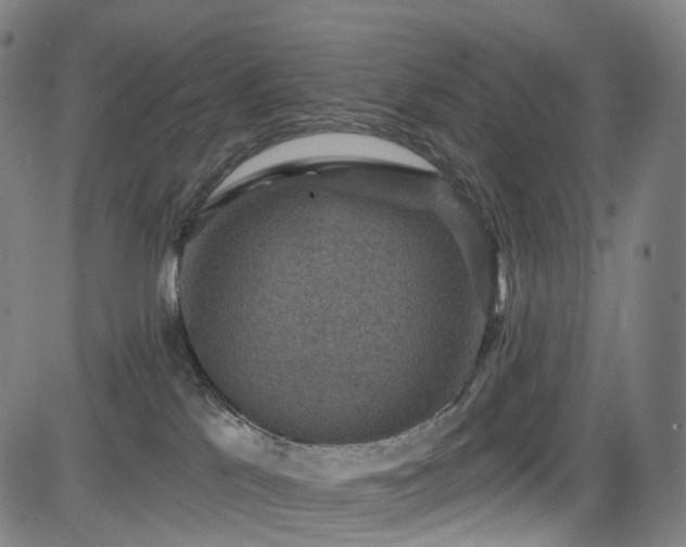 X0000085260041200703091335