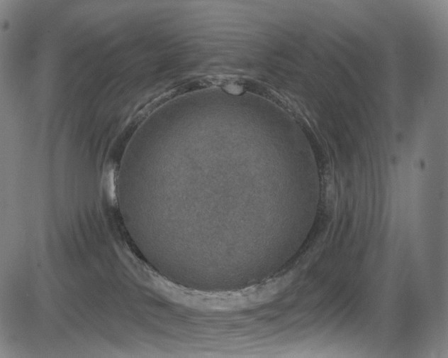 X0000085260042200703091335