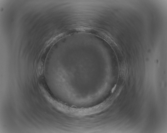 X0000085260043200703091335