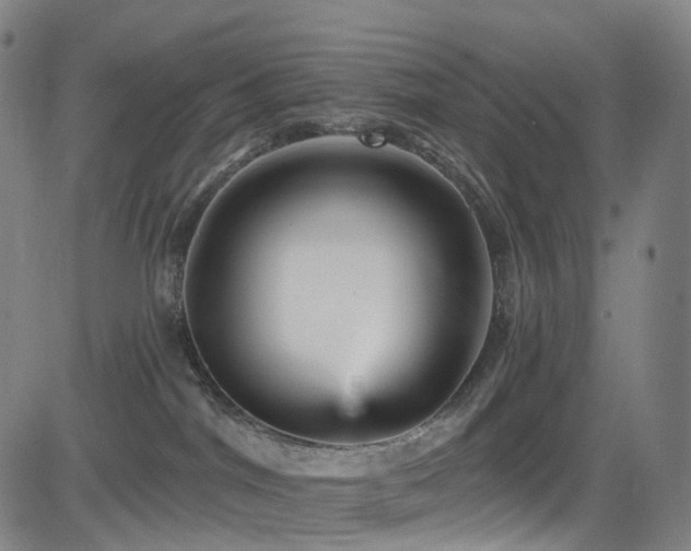 X0000085260044200703091335