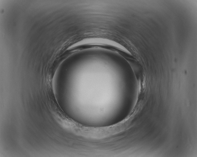 X0000085260045200703091335