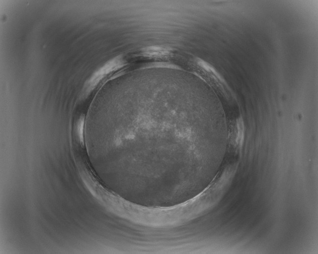 X0000085260047200703091335