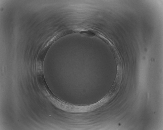 X0000085260048200703091335