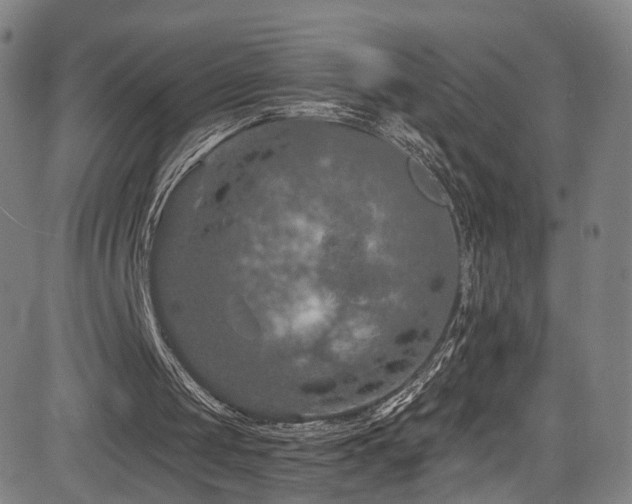 X0000085260049200703091334