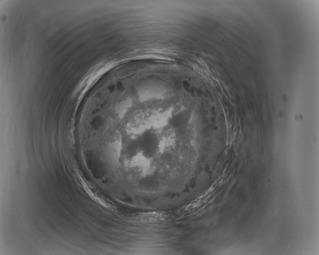 X0000085260050200703091334